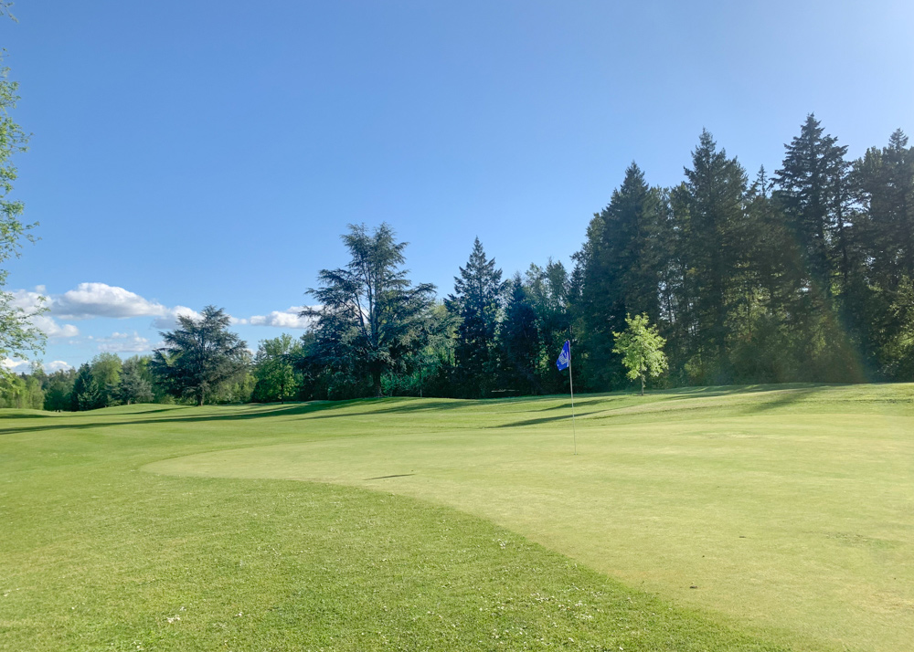 Kohl Creek green with flag and tree-lined fairway